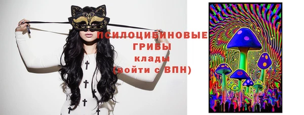 ПСИЛОЦИБИНОВЫЕ ГРИБЫ Нея