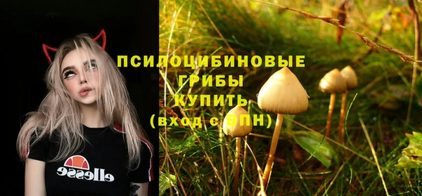 ПСИЛОЦИБИНОВЫЕ ГРИБЫ Нея