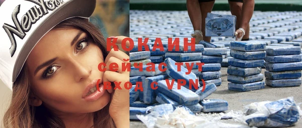 ПСИЛОЦИБИНОВЫЕ ГРИБЫ Нея