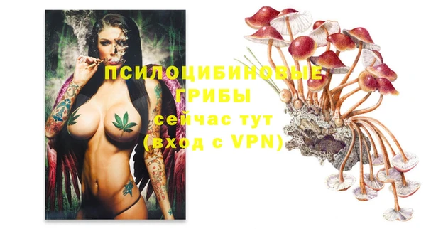 соль курить ск Нефтекумск